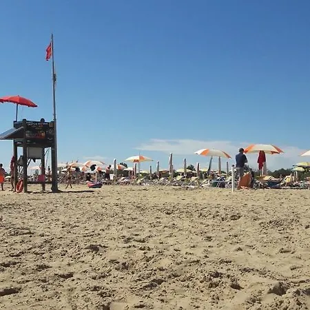 Pinetine * Bibione